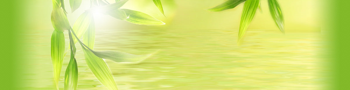 Green bamboo leaves over water